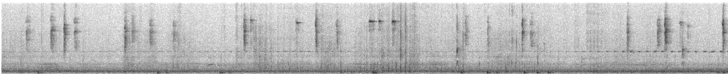 Striated Thornbill - ML645869383