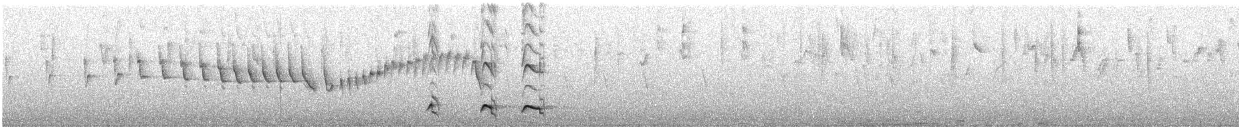 Tawny Antpitta - ML645869619