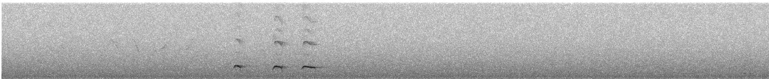 Tawny Antpitta - ML645869620