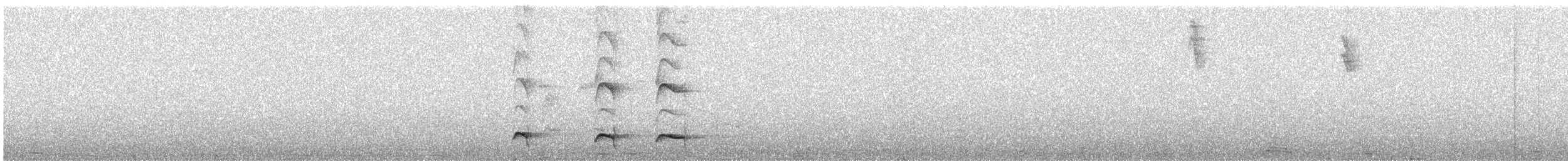 Tawny Antpitta - ML645869621