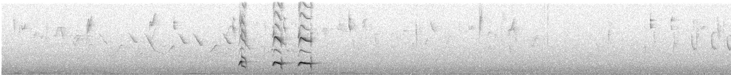 Tawny Antpitta - ML645869622