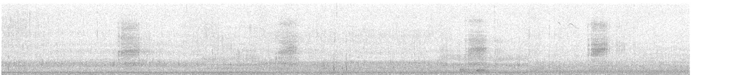 Acorn Woodpecker - ML645869872