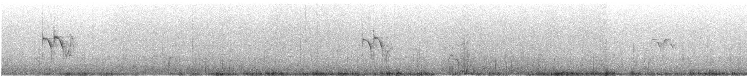 konipas japonský - ML645869884