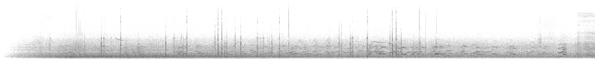 小加拿大雁 - ML645869942