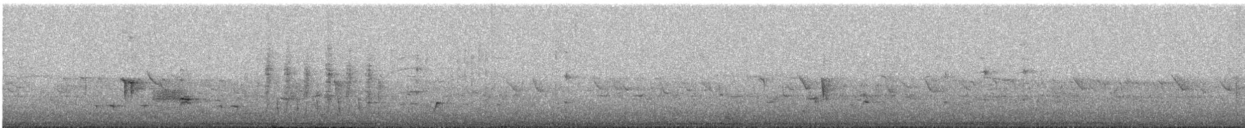 šatovník karmínový - ML645870334