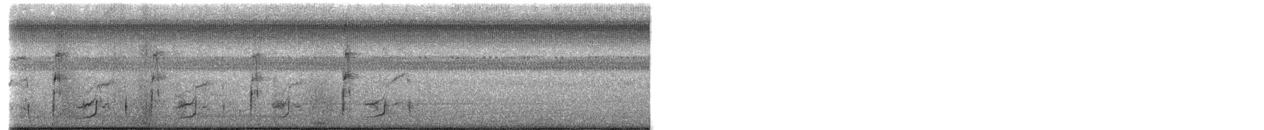 ani rýhozobá - ML645870401