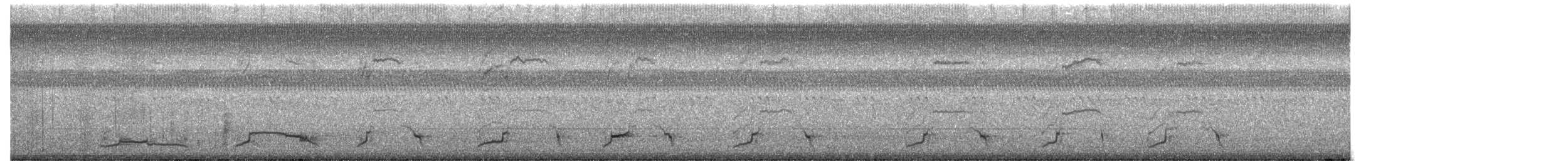 ani rýhozobá - ML645870402