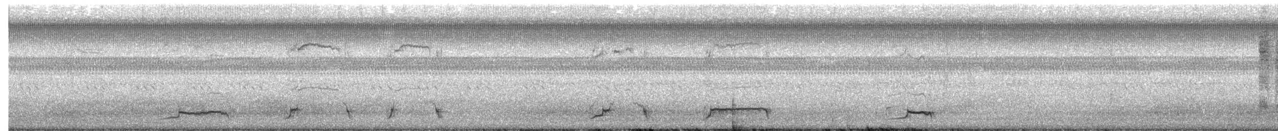 ani rýhozobá - ML645870403