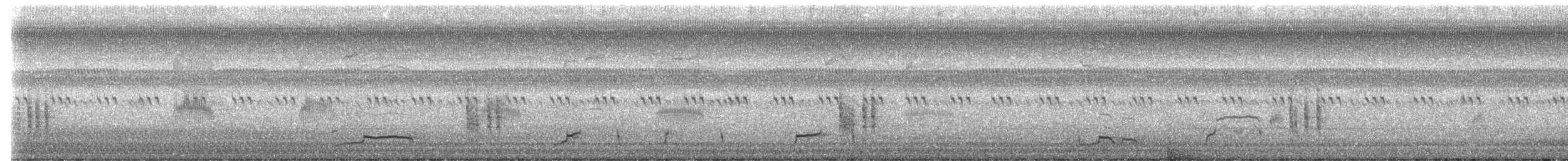 ani rýhozobá - ML645870404