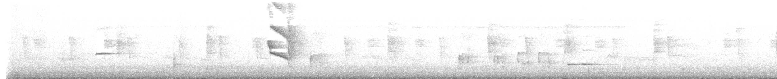 Sosyal Tiran - ML645871153