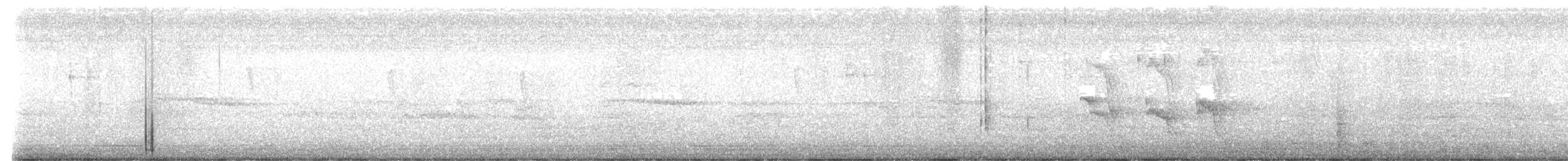 Sosyal Tiran - ML645871154