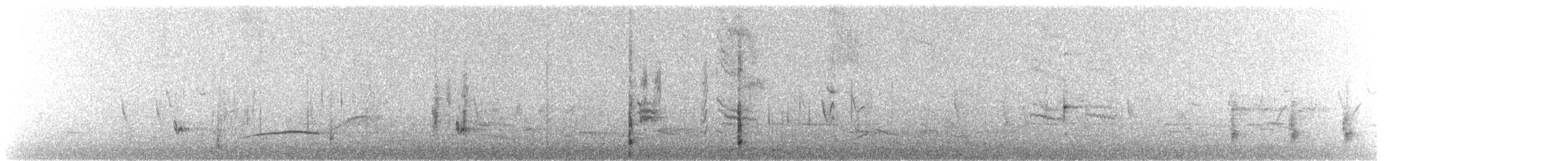 Blue-billed Duck - ML645871599