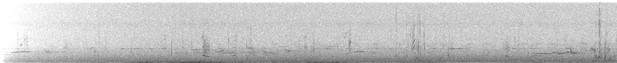 sølvhodedykker - ML645871603