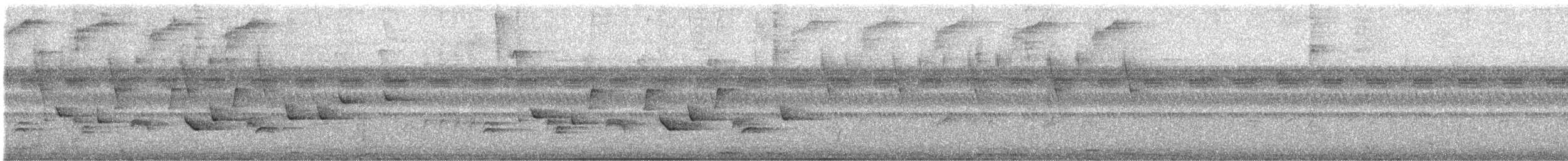 オオコメワリ - ML645871628