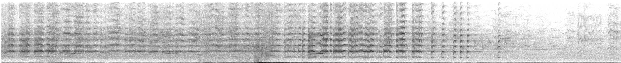 Masked Lapwing (Black-shouldered) - ML645872262