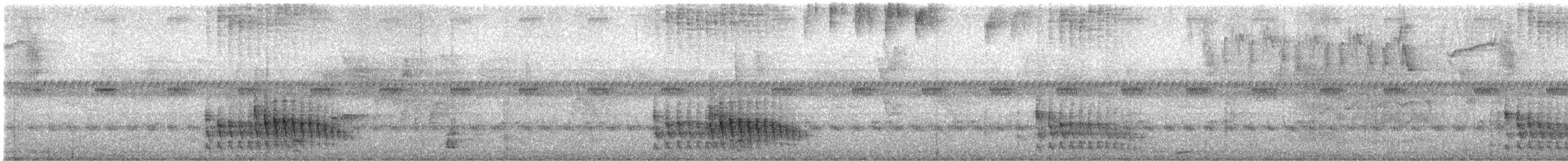 Kül Rengi Dikenkuyruk - ML645872285