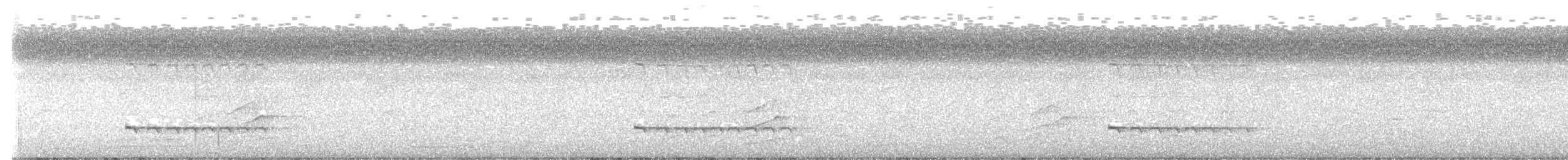 blårosella - ML645872498