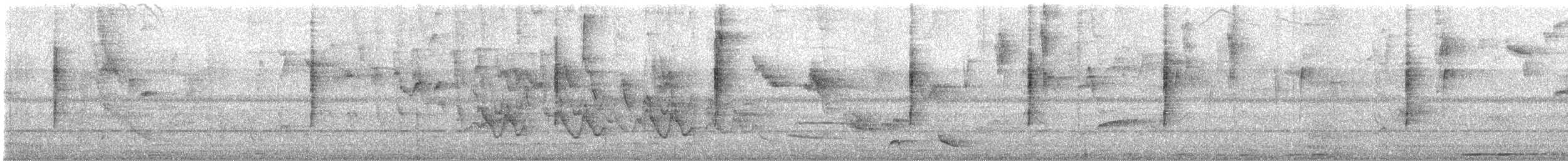 Graukopf-Waldsänger - ML645872793