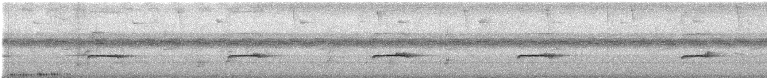 Western Wood-Pewee - ML645872921