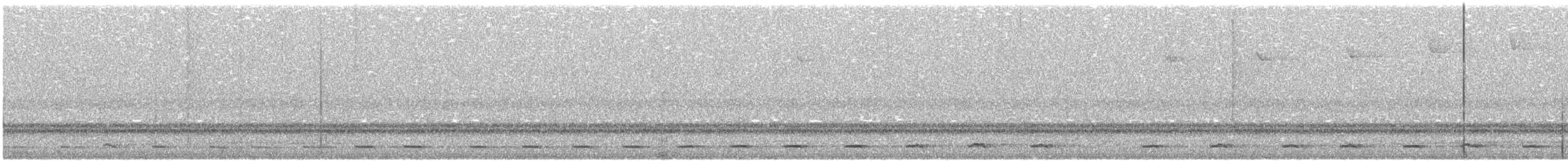 sýc americký - ML645873097