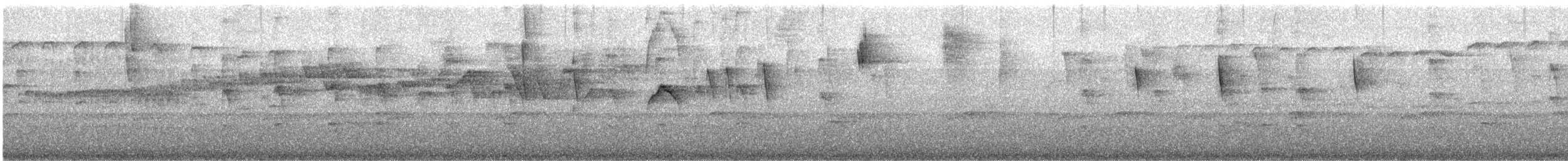 kanelbåndbørstetyrann - ML645873189