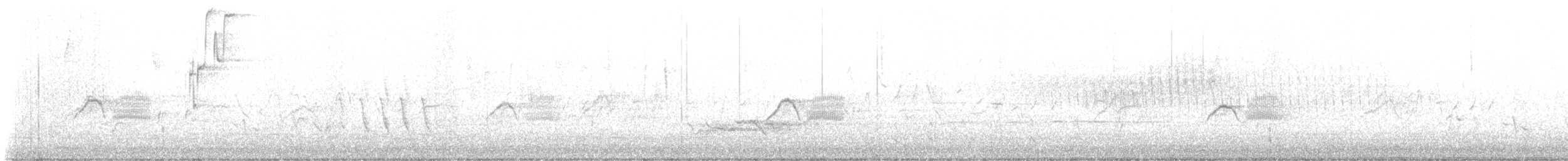 gråfibi - ML645874249