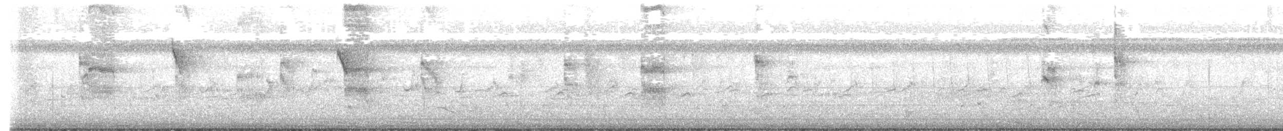 hvitkinnsvartterne - ML645874333