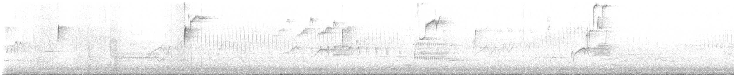 Black-and-white Warbler - ML645874540