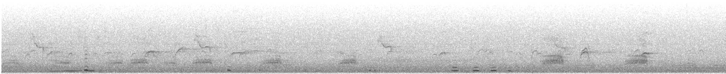 小天鵝 - ML645874598