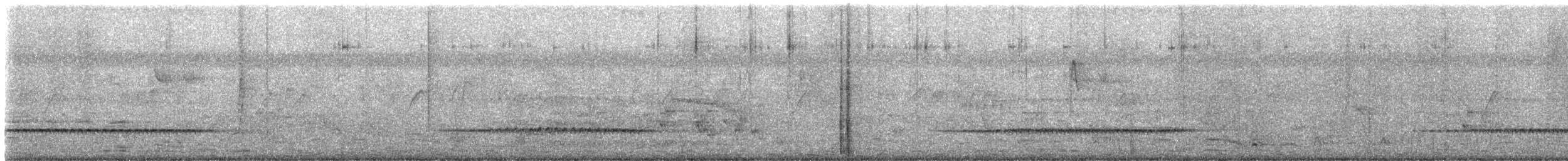 Common Iora - ML645875365