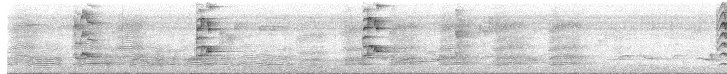 Crimson Rosella (Adelaide) - ML645875446