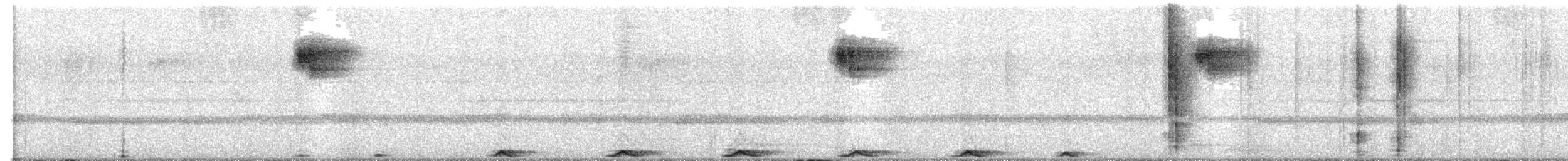 Mottled Owl - ML645875555