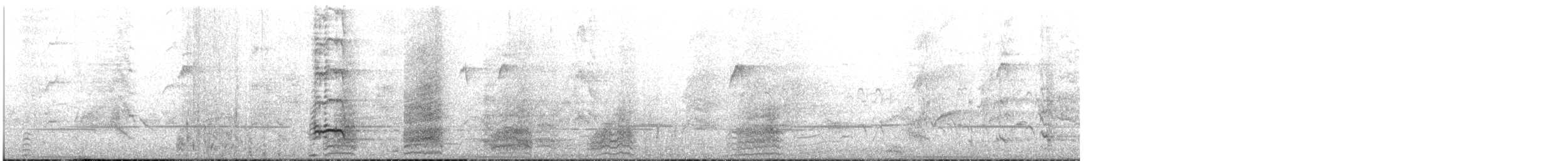 Dusky Moorhen - ML645875678