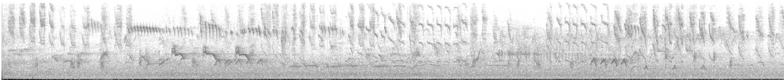 Superb Fairywren - ML645875952