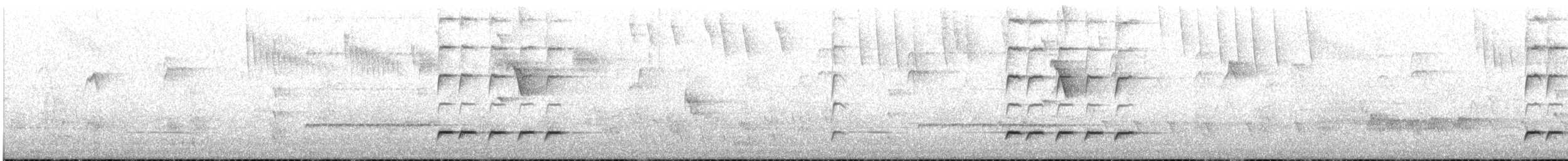 Perruche de Pennant (adelaidae/subadelaidae) - ML645875983