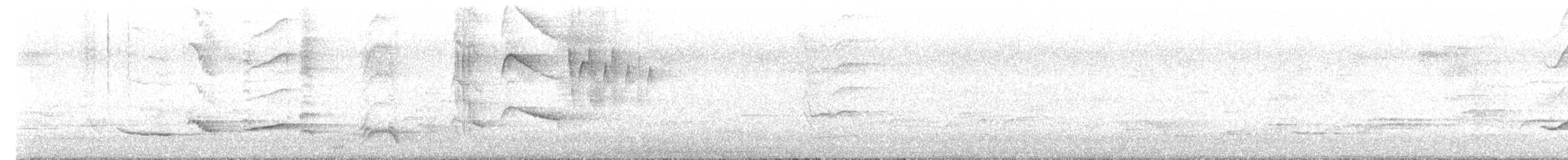 Mirlo Común - ML645876016