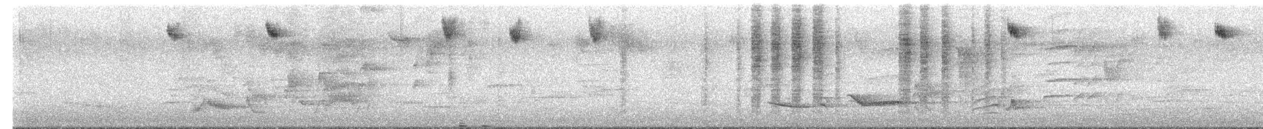 Brown Thornbill - ML645876074