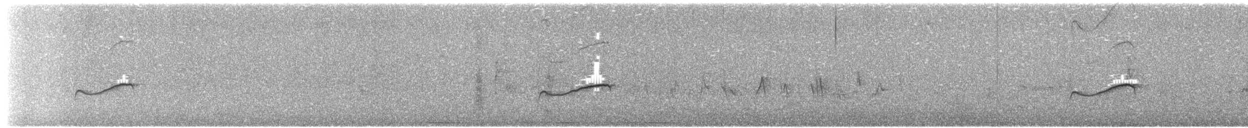 Hellbauch-Schnäppertyrann - ML645876203