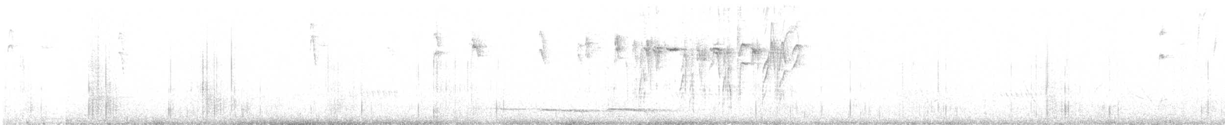 Maskenhakenschnabel - ML645876224