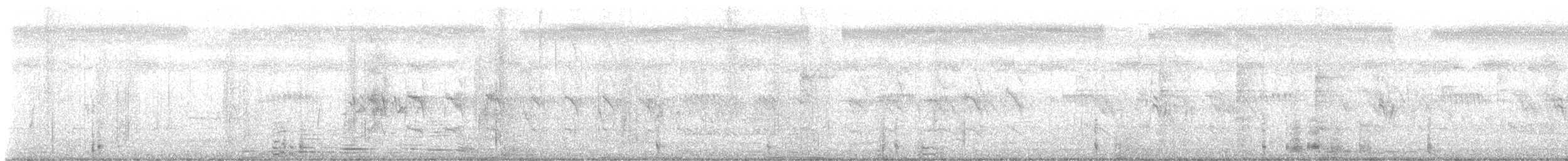 Halsbandsittich - ML645876358