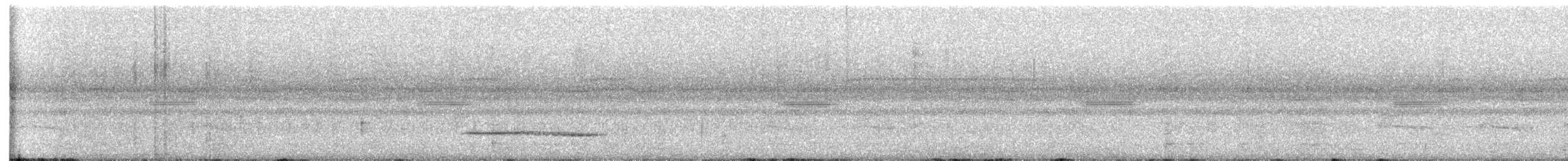 コシギダチョウ - ML645876580