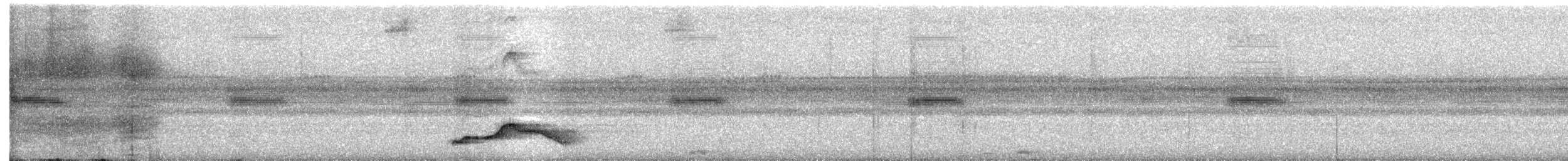 オオヨタカ - ML645876594