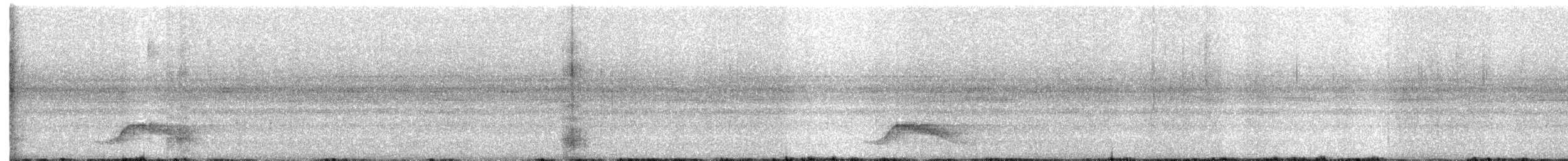 オオヨタカ - ML645876595