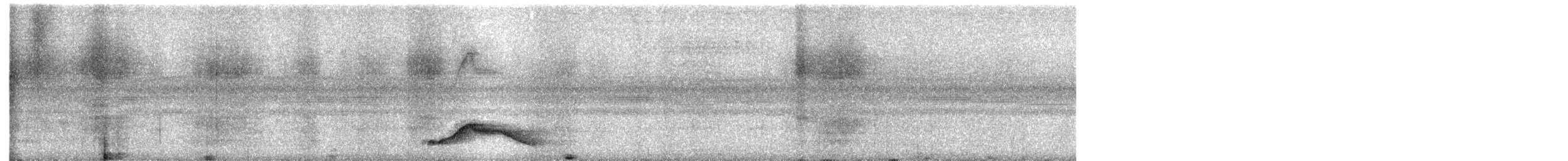 オオヨタカ - ML645876596