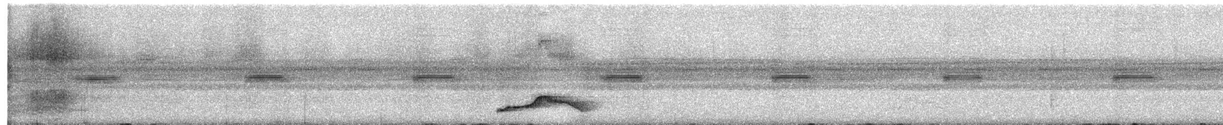 Pauraquenachtschwalbe - ML645876736