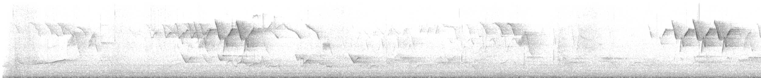 Black-and-white Warbler - ML645876992