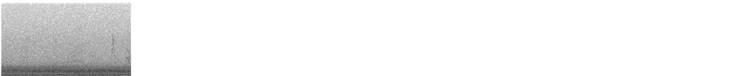 Acorn Woodpecker - ML645876994