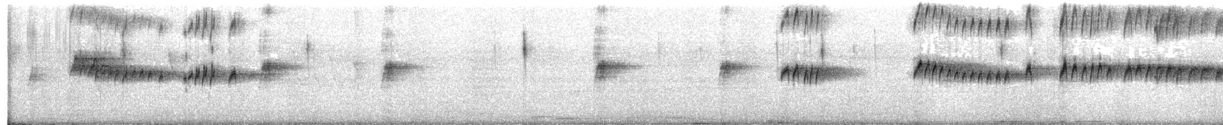 Trauerkönigstyrann - ML645877048