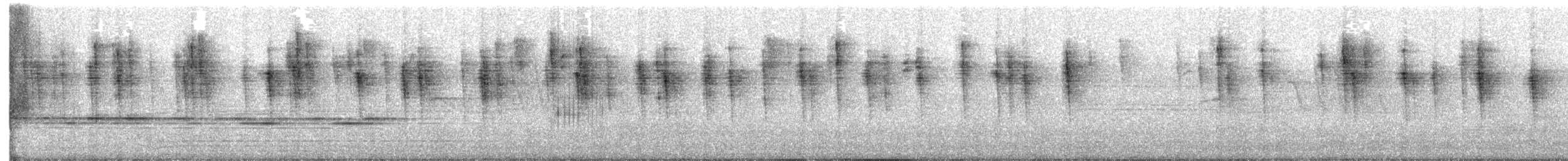 Brauenwaldsänger - ML645877062