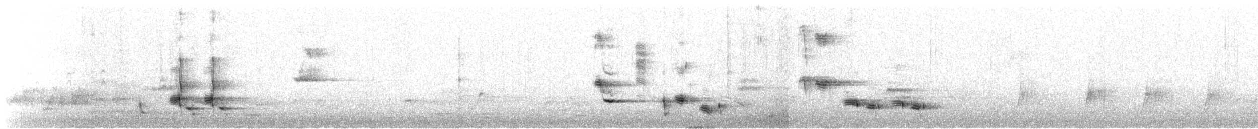 Weißstirn-Honigfresser - ML645877098